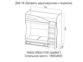 ДМ-16 Кровать двухъярусная с ящиком в Михайловске - mihajlovsk.магазин96.com | фото