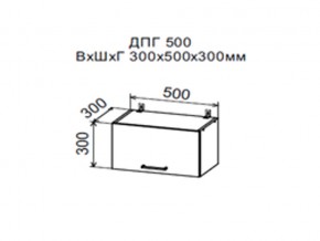 Шкаф верхний ДПГ500 горизонтальный в Михайловске - mihajlovsk.магазин96.com | фото