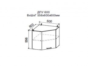 Шкаф верхний ДПУ600 угловой в Михайловске - mihajlovsk.магазин96.com | фото